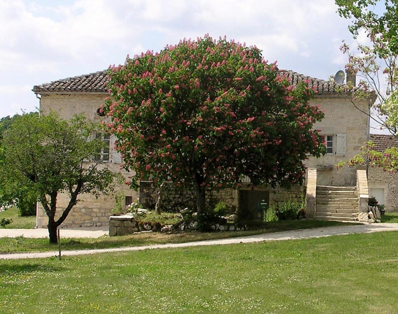Domaine De L'Isle Basse Bed and Breakfast Fontanes  Exteriör bild