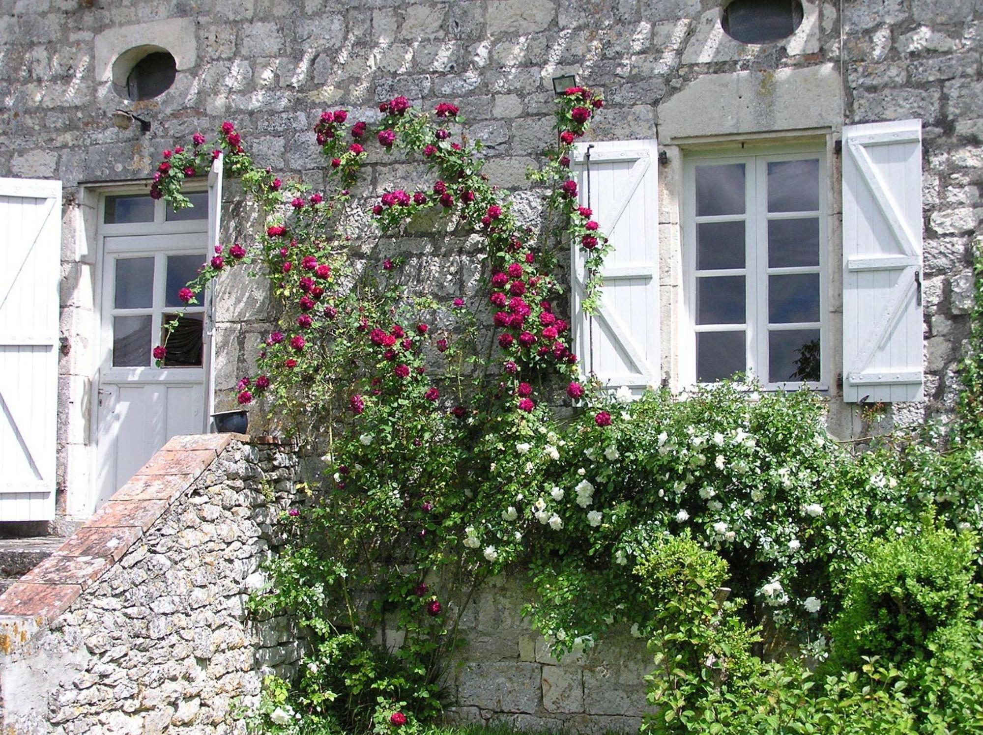 Domaine De L'Isle Basse Bed and Breakfast Fontanes  Rum bild